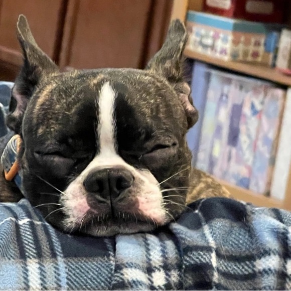 LUVKITTY IS LIVE! - Picture 15 of 15